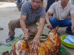 20180209_110037_900_